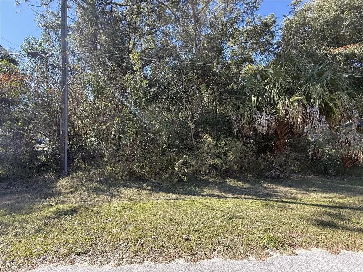 TBD SW 78th Street, Ocala, FL 34476 - Image #1