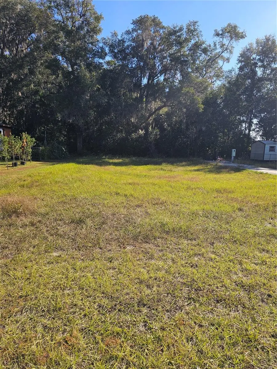 11047 SE 66th Terrace, Belleview, FL 34420 - #1