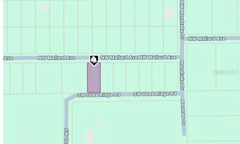 LOT 27 NW Mallard Avenue, Dunnellon, FL 34431 - Image #3