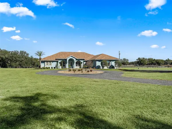 19351 E Levy Street, WILLISTON, FL 32696