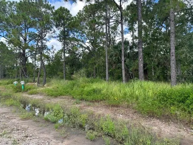 274 Spoonbill Drive, Poinciana, FL 34759 - Image #2