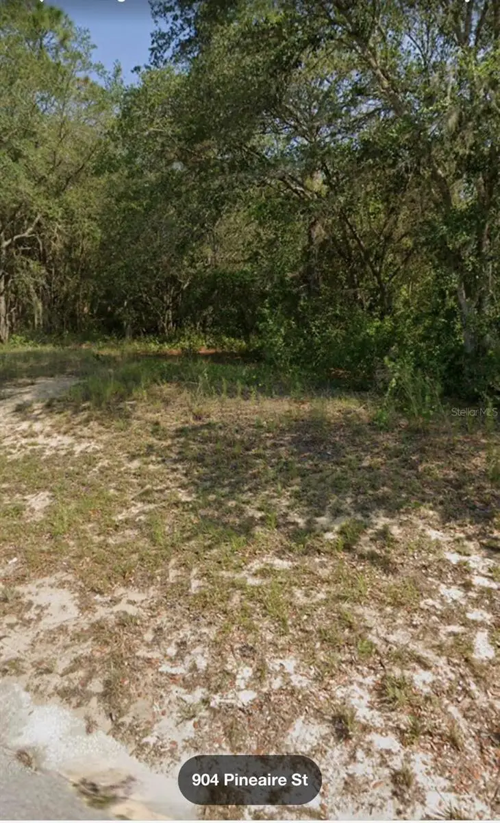 904 Pineaire St, Inverness, FL 34452 - Image #2