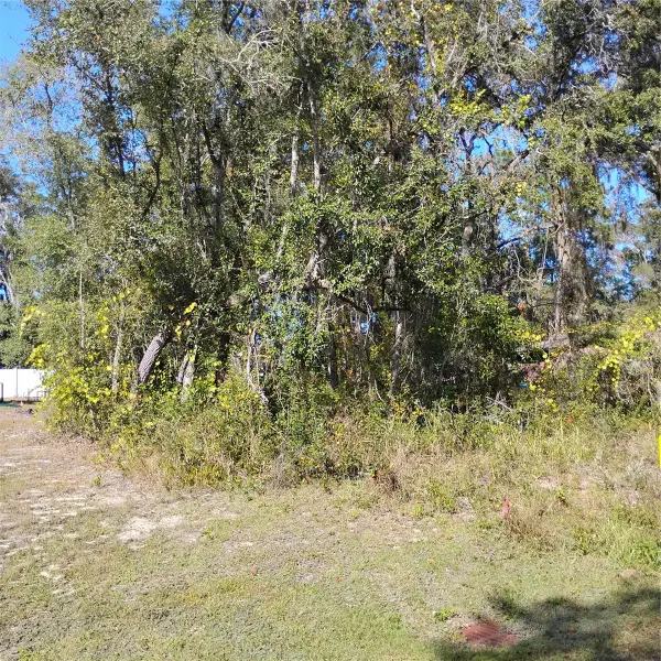 TBD SE 61st Place, OCKLAWAHA, FL 32179