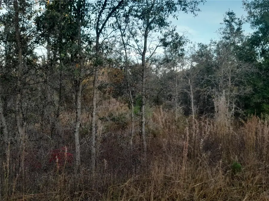 1531 NE 123rd Avenue, Williston, FL 32696 - Image #3