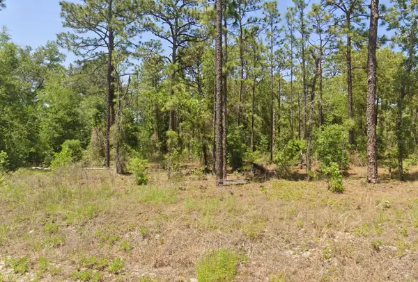 TBD NW Hemlock Avenue, DUNNELLON, FL 34431