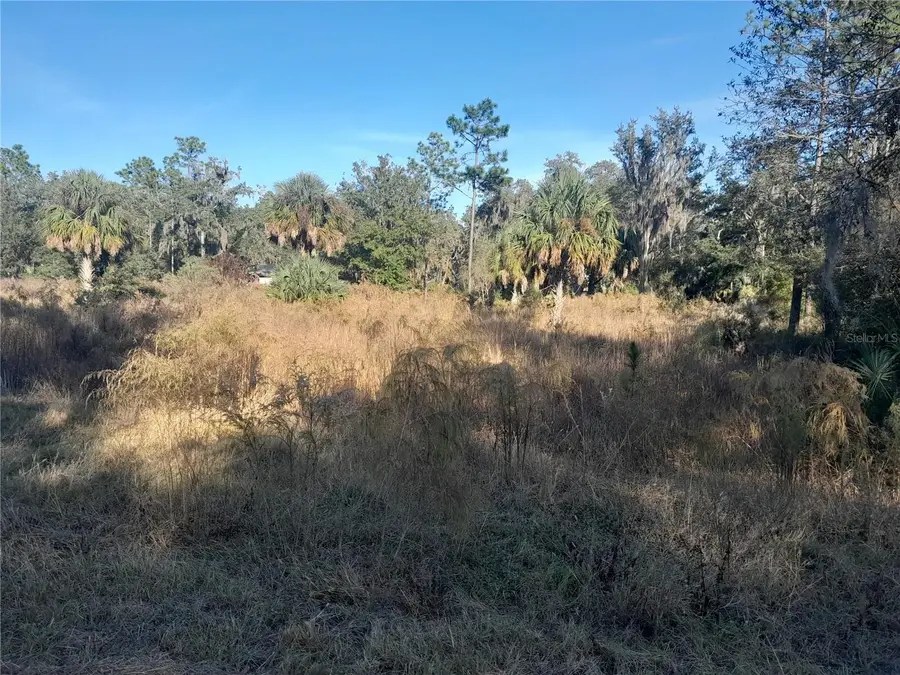 tbd SE 110th Avenue, Inglis, FL 34449 - Image #2