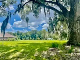 TBD NE 49th Street, Williston, FL 32696 - Image #3