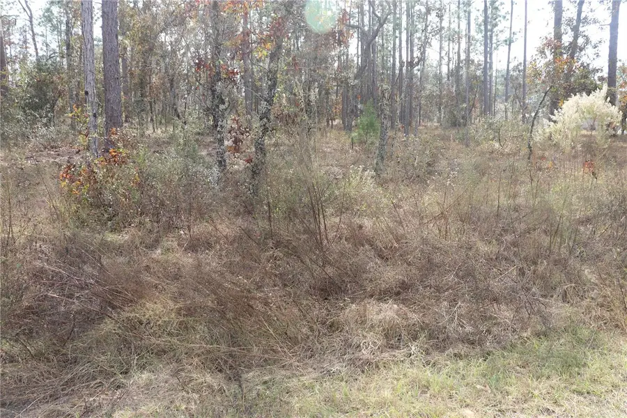 00 Geranium Avenue, Dunnellon, FL 34431 - Image #2