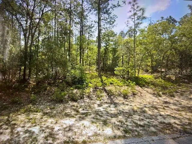 4060 W Alamo Drive, Beverly Hills, FL 34465 - Image #1