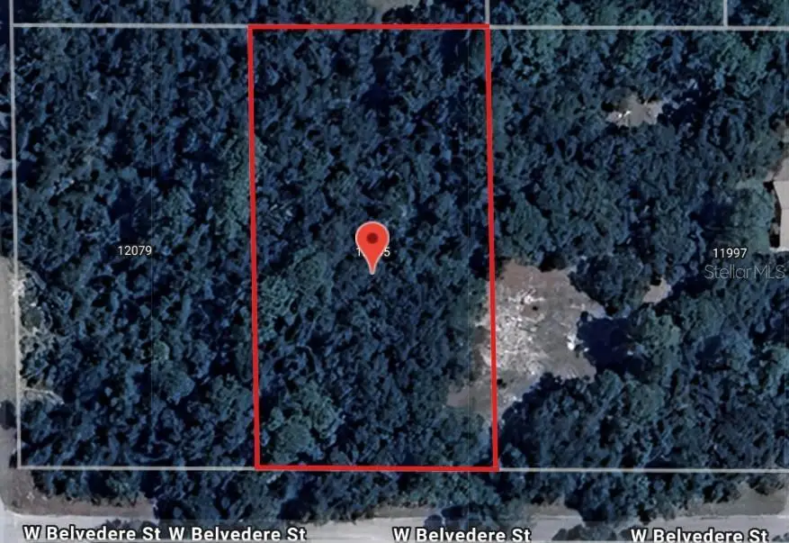 12045 W Belvedere Street, Crystal River, FL 34428 - Image #1