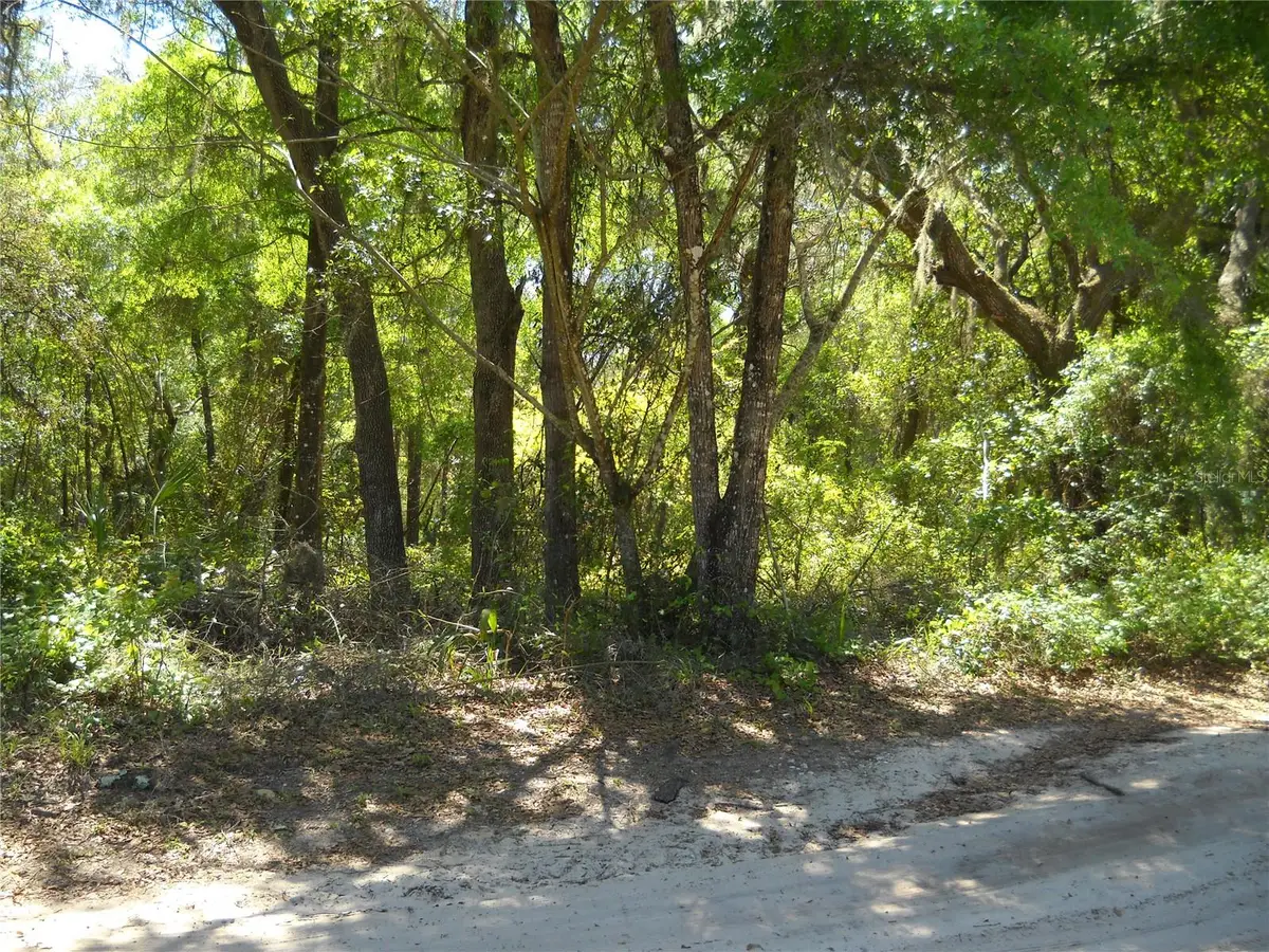 00 NE 167 Place, Citra, FL 32113 - Image #1