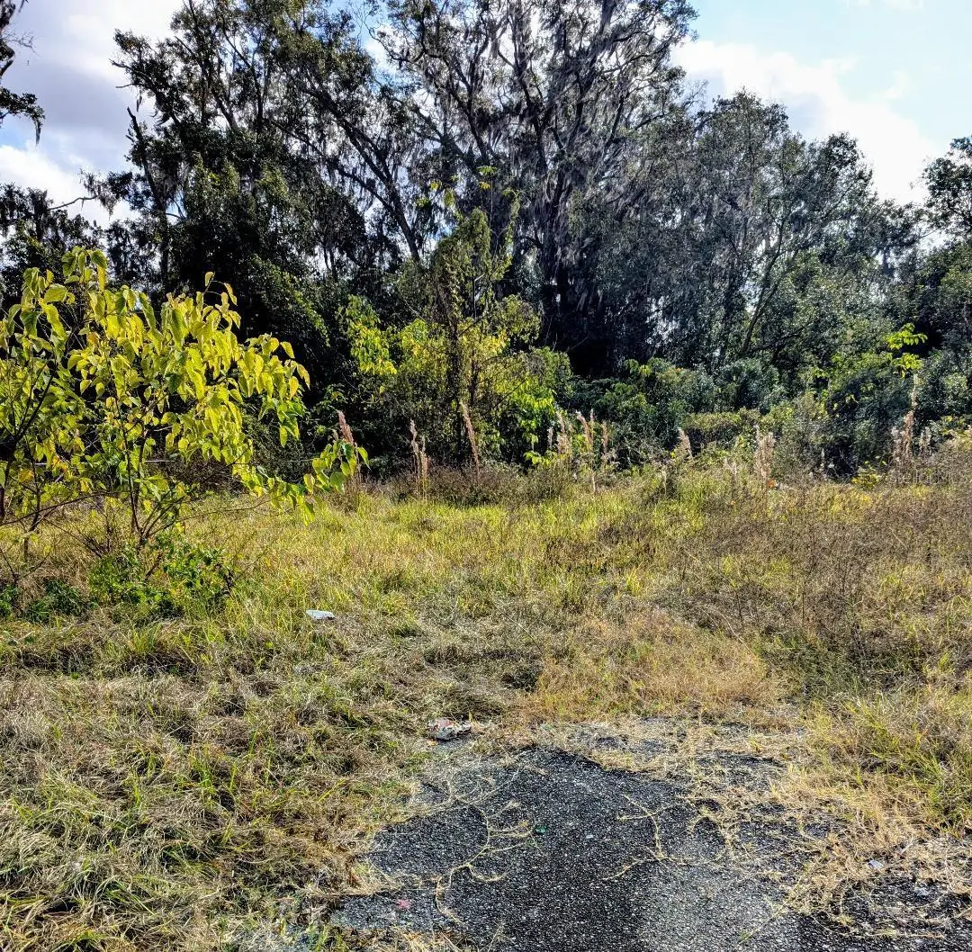 808 SW 3rd Street, Ocala, FL 34471 - Image #1