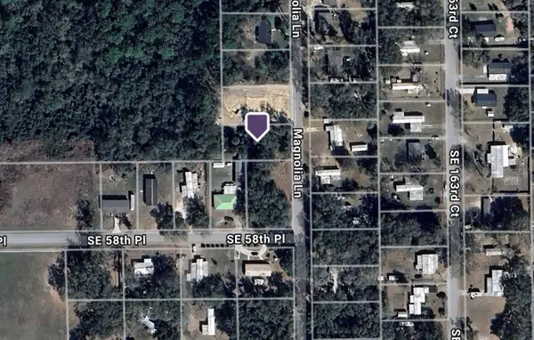 00 SE 162nd Terrace, OCKLAWAHA, FL 32179
