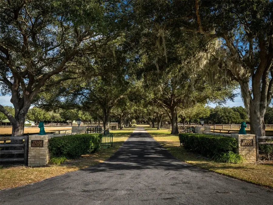 4951 SE 216th Avenue, Morriston, FL 32668 - Image #3