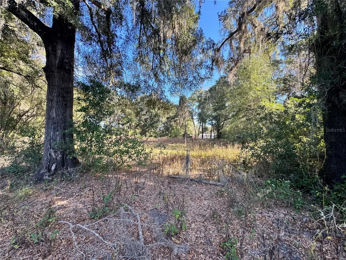 17901 NE 18th Avenue, Citra, FL 32113 - Image #1