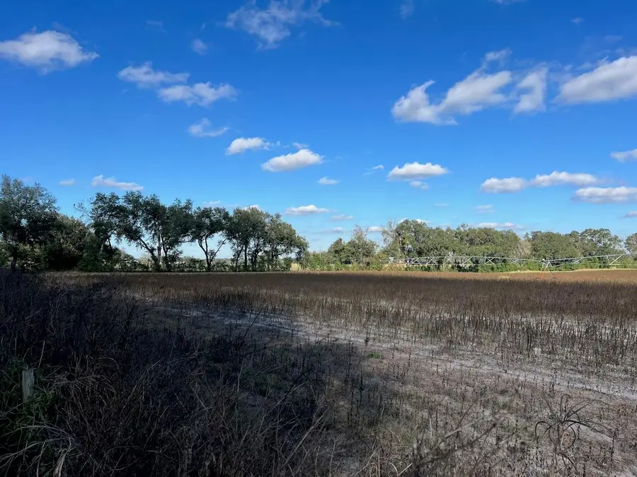 NE 150 Street, Trenton, FL 32693 - Image #2