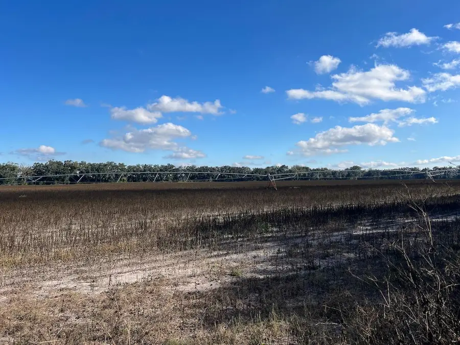 NE 150 Street, Trenton, FL 32693 - Image #3