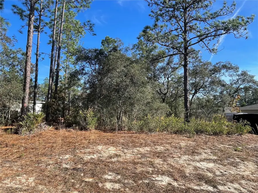 11475 N Kenney Loop, Dunnellon, FL 34433 - Image #2