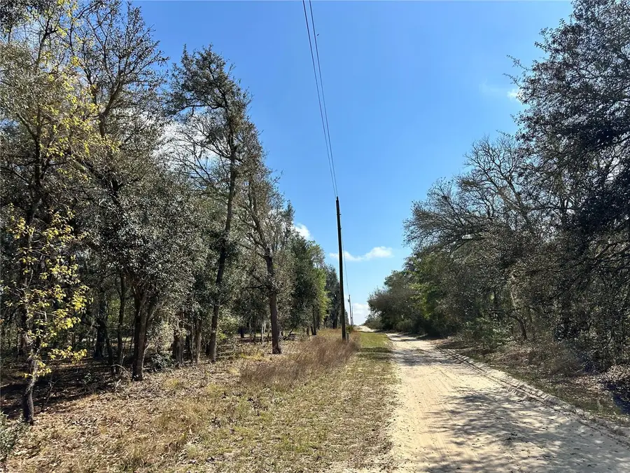 TBD NE 68th Place, Bronson, FL 32621 - #2