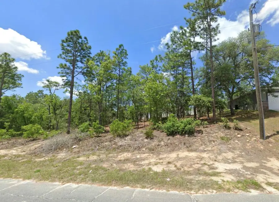 3065 W Sharpes Drive, Citrus Springs, FL 34433 - Image #3