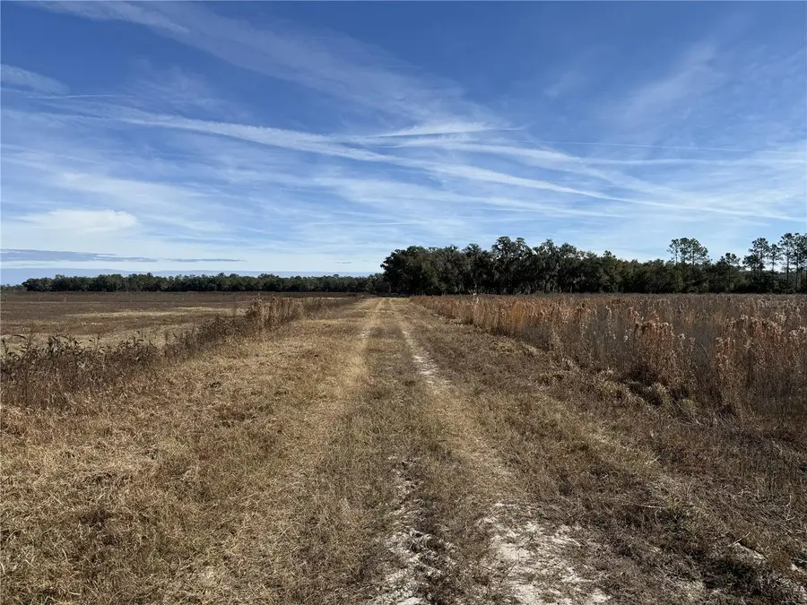 216ac NE 85th Ave Rd, Citra, FL 32113 - Image #2