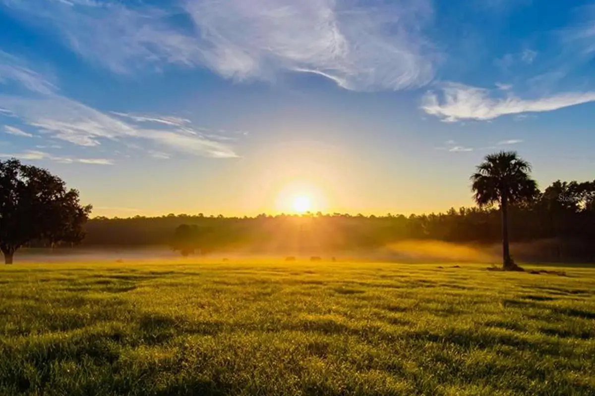 TBD Hwy 329, Reddick, FL 32686 - #1