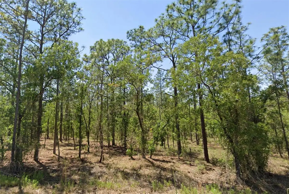 00 NW Narcissus Road, Dunnellon, FL 34431 - #1