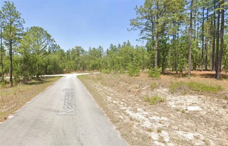 00 NW Narcissus Road, Dunnellon, FL 34431 - #3