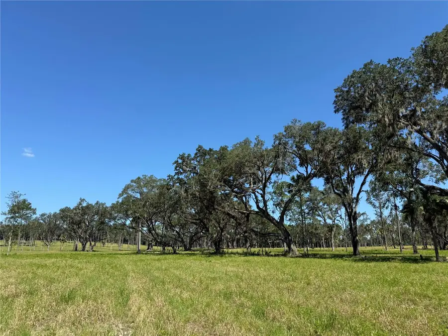 DO #6 (24ac) NW 193rd St, Micanopy, FL 32667 - Image #3