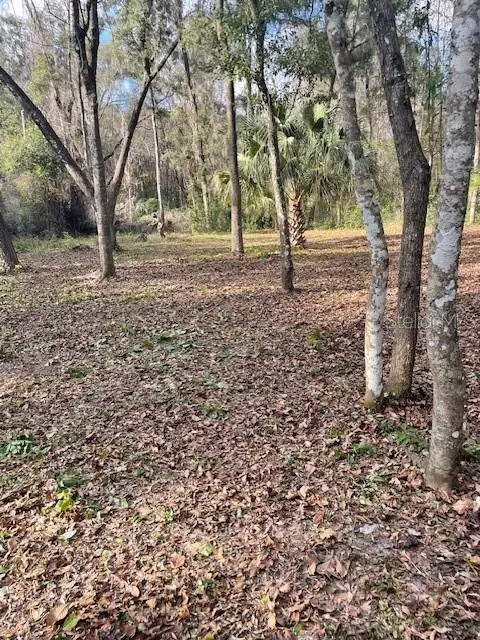 NE 164 Lane, Citra, FL 32113 - #2