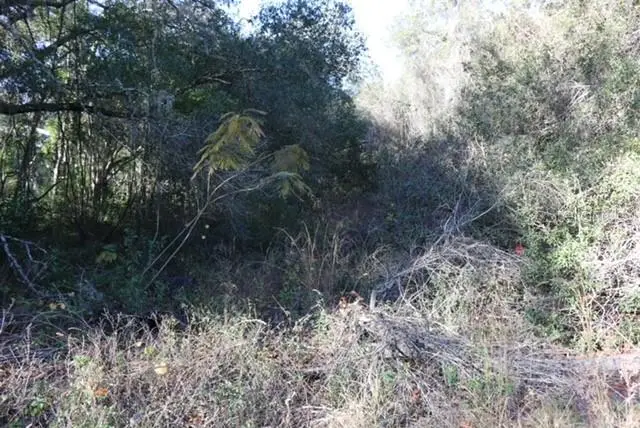 11936 SE 141st Terrace, Ocklawaha, FL 32179 - #2