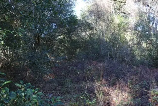 11936 SE 141st Terrace, Ocklawaha, FL 32179 - #3