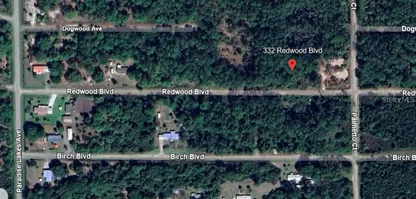 332 Redwood Boulevard, GEORGETOWN, FL 32139