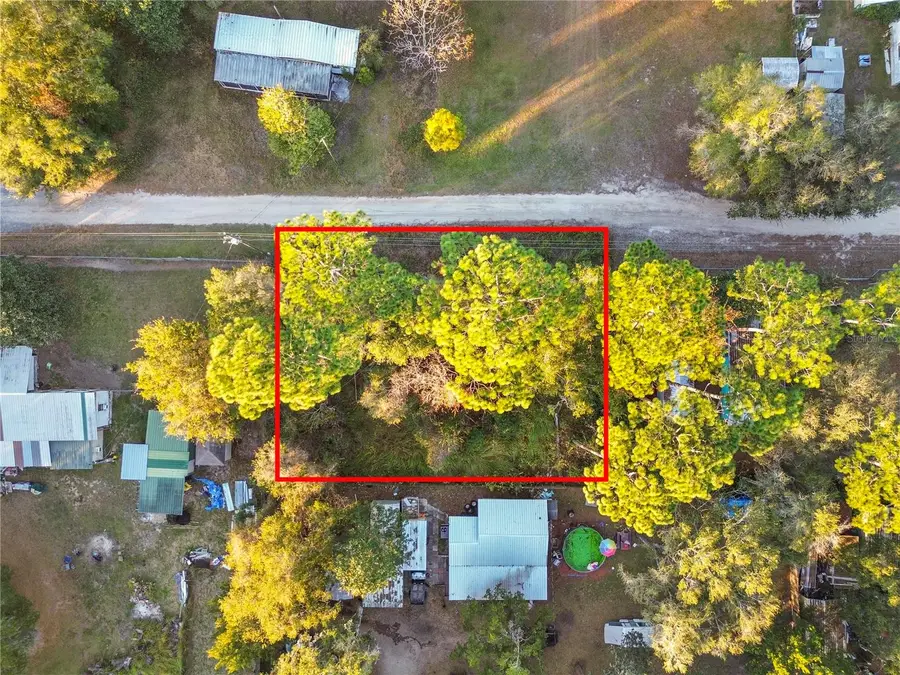 000 NE 131st Lane, Salt Springs, FL 32134 - Image #3