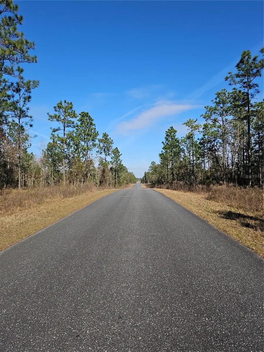 TBD SE 136th Terrace, Dunnellon, FL 34431 - Image #2