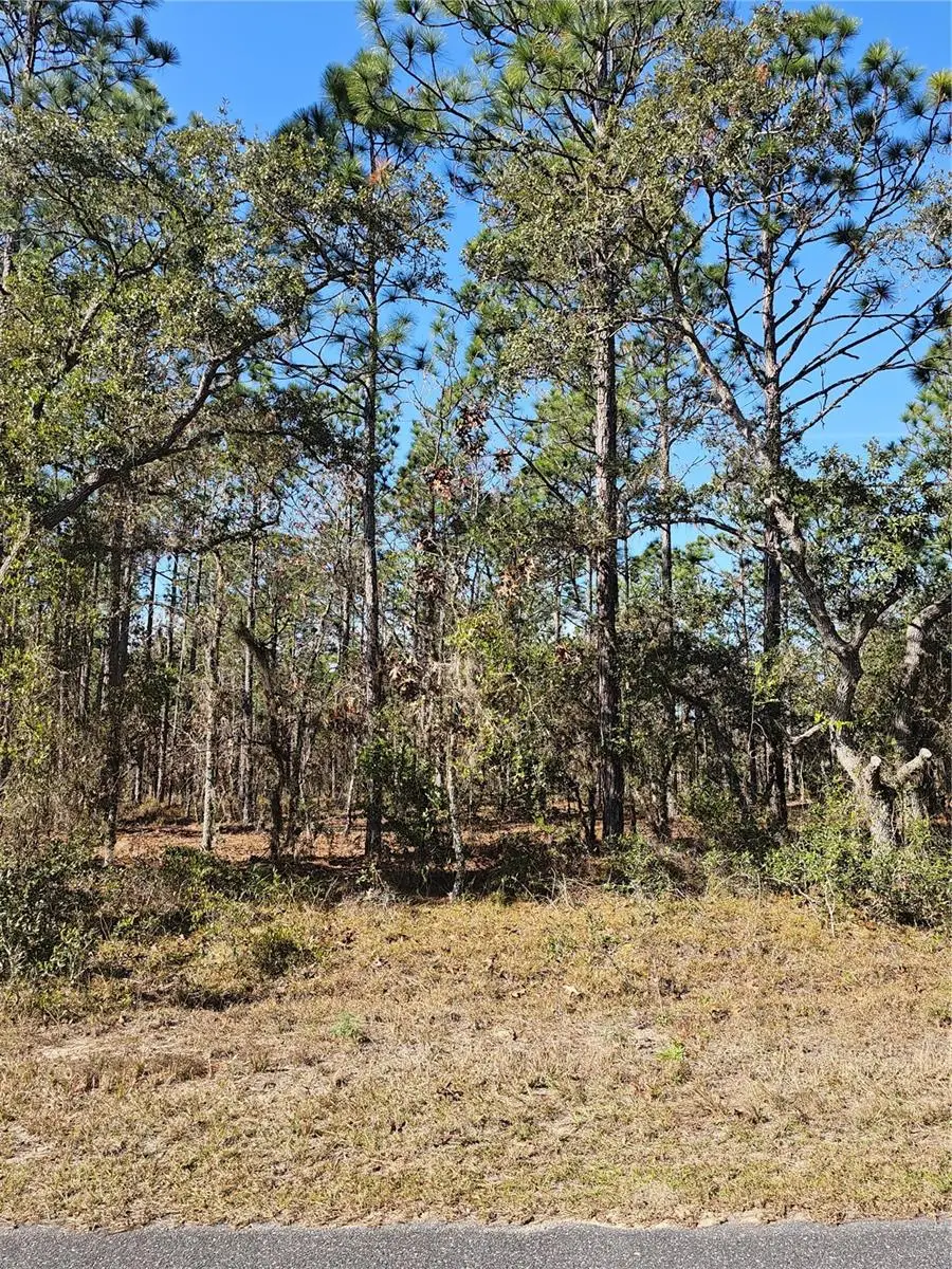 TBD SE 136th Terrace, Dunnellon, FL 34431 - Image #1