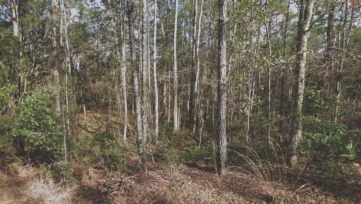 130 SE 5th Street, Palatka, FL 32177 - Image #1