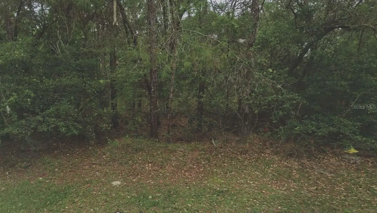 105 Rhode Island Avenue, Satsuma, FL 32189 - Image #1