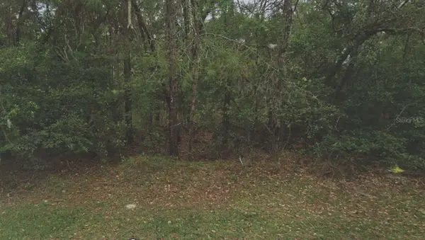 105 Rhode Island Avenue, SATSUMA, FL 32189