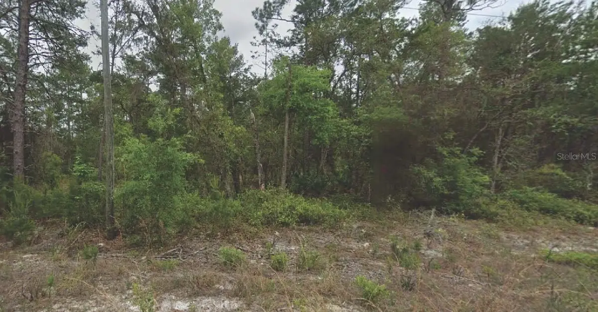 120 New York Avenue, Satsuma, FL 32189 - Image #1