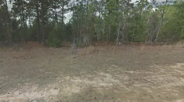 254 Brussels Avenue, INTERLACHEN, FL 32148