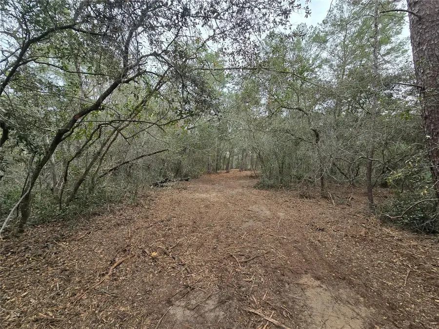 Se 152nd Ln, Umatilla, FL 32784 - Image #2