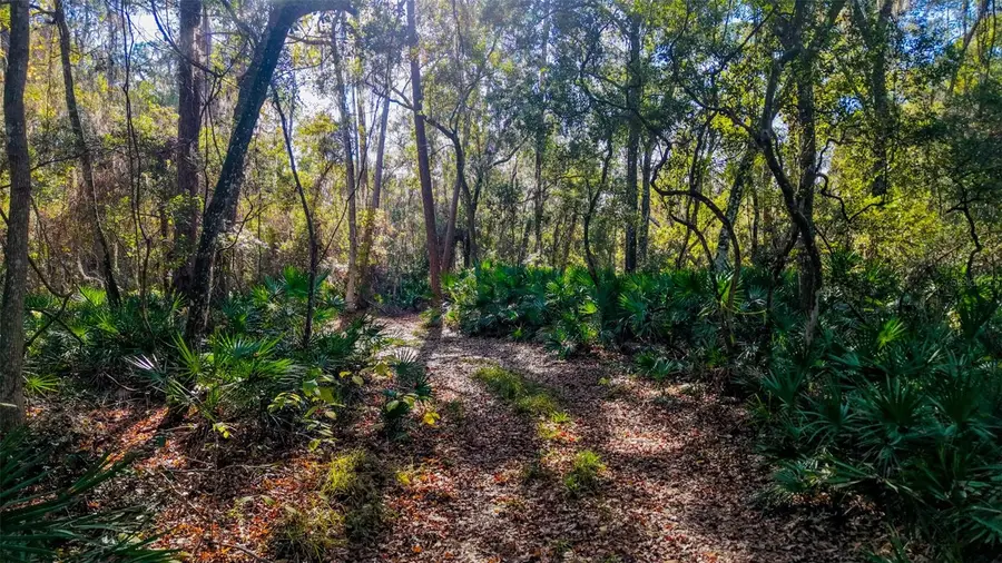 Off 212th Ln, Hawthorne, FL 32640 - #2