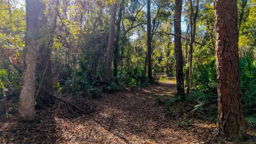 Off 212th Ln, Hawthorne, FL 32640 - #3