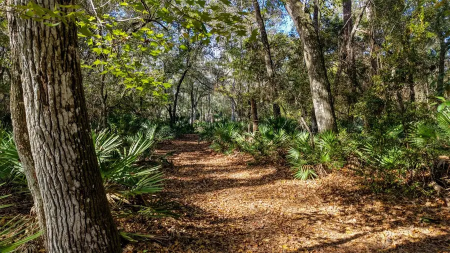 Off Hwy 325, Hawthorne, FL 32640 - Image #3