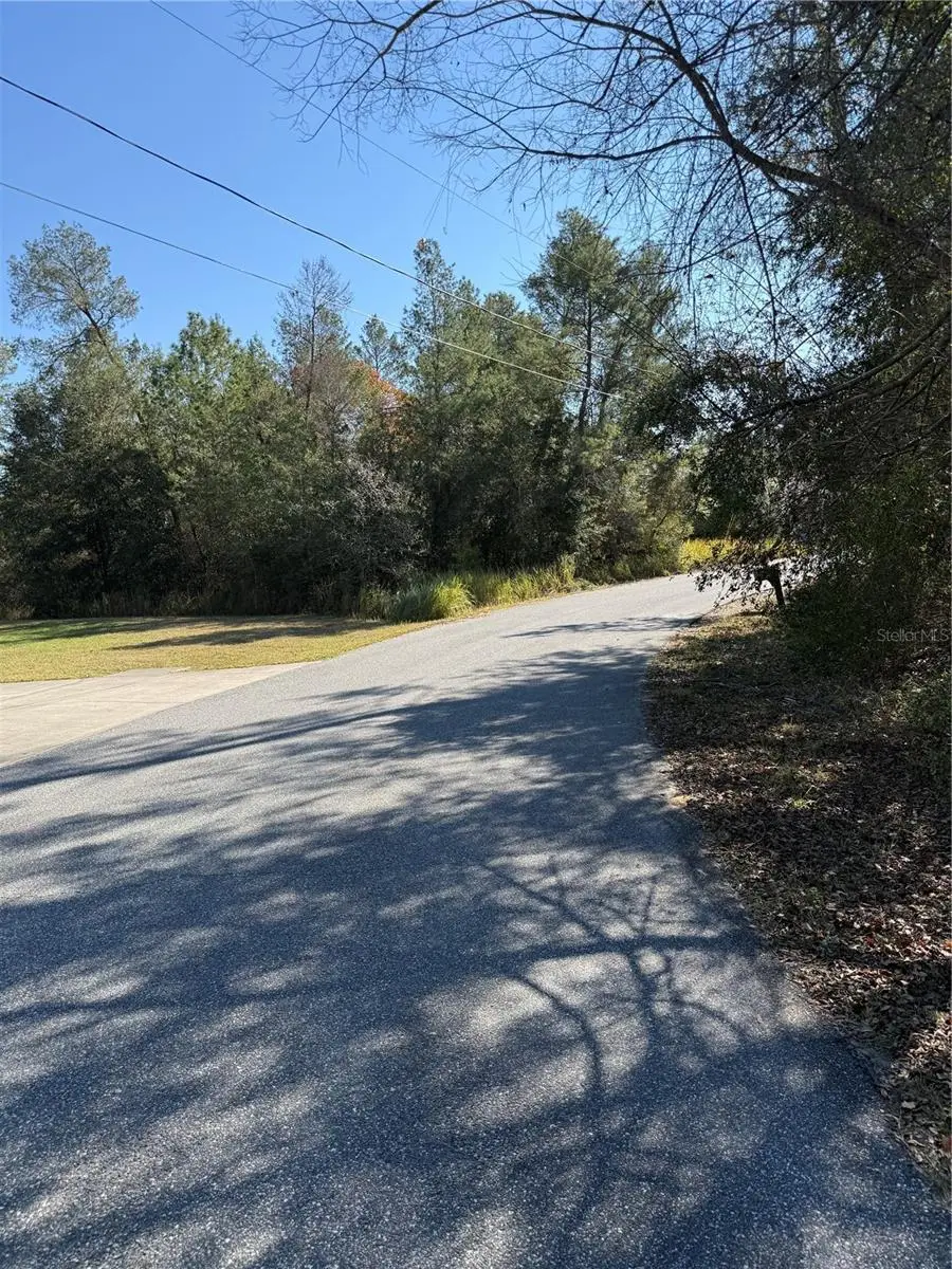 0 Olive Drive, Ocala, FL 34472 - #2