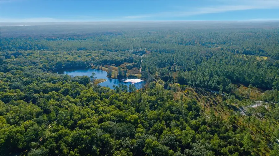 TBD (Lot 5) NE 115th Lane Road, Fort McCoy, FL 32134 - #3