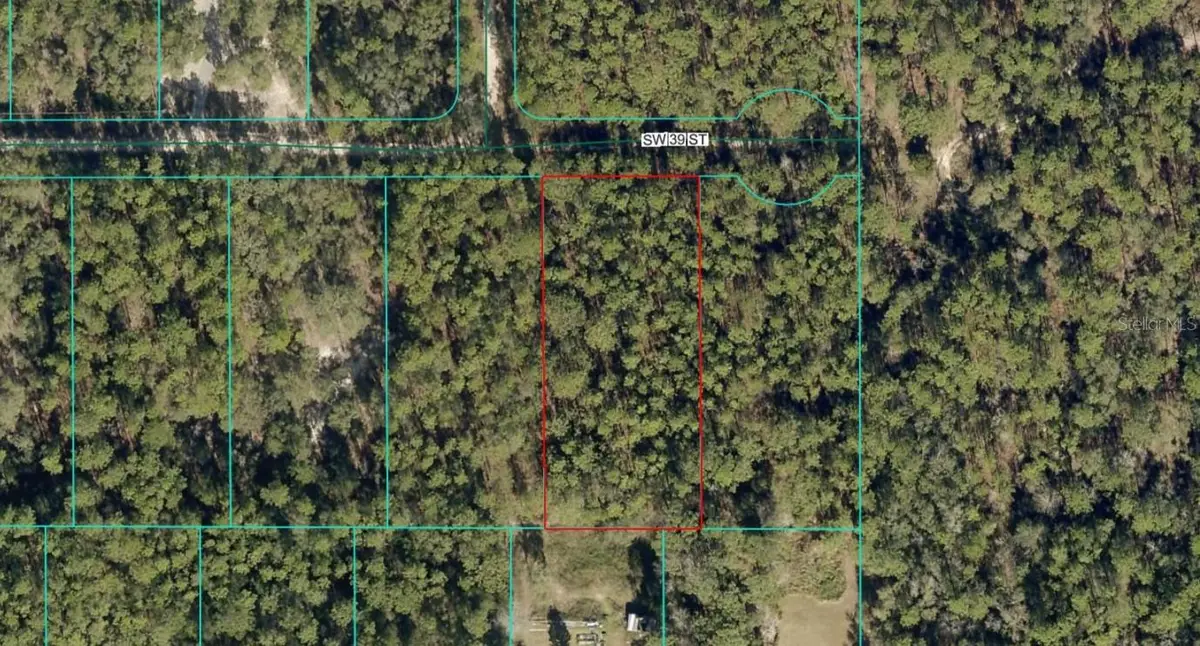 TBD LOT 18 SW 39th Street, Dunnellon, FL 34432 - #1