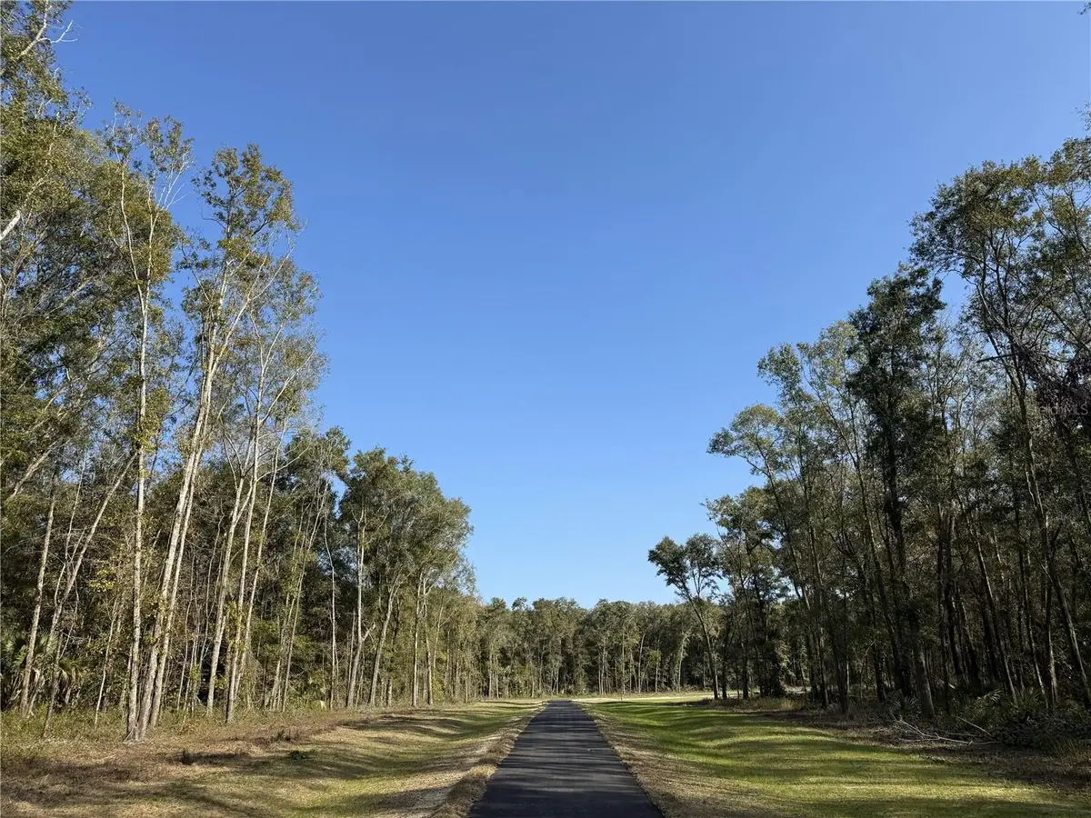 Irvine Acres #3 (10ac) W Hwy 318, Reddick, FL 32686 - Image #1