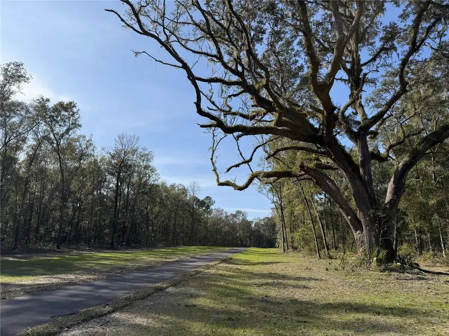 Irvine Acres #3 (10ac) W Hwy 318, Reddick, FL 32686 - Image #3